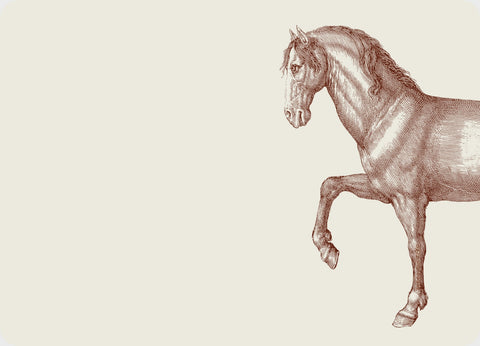Prancing Horse Notecards