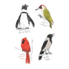 Dumb Birds Sticker Book