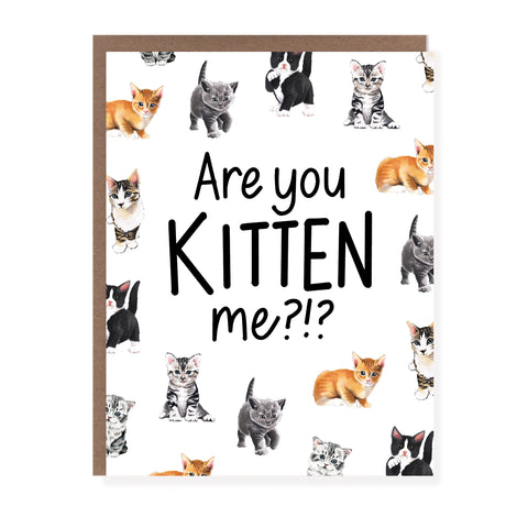 Are You Kitten Me? Card