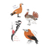Dumb Birds Sticker Book