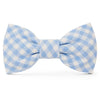 Sky Blue Gingham Dog Collar