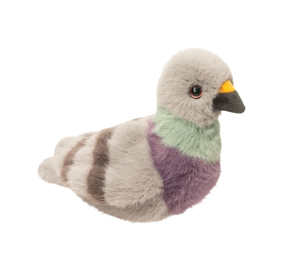 Parker the Pigeon