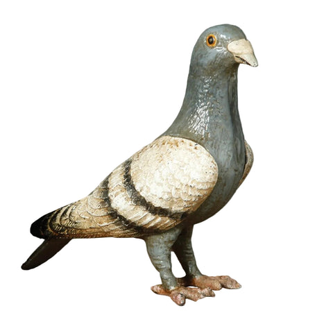Penelope the Pigeon