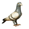 Penelope the Pigeon