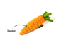 Garden Fresh Carrot