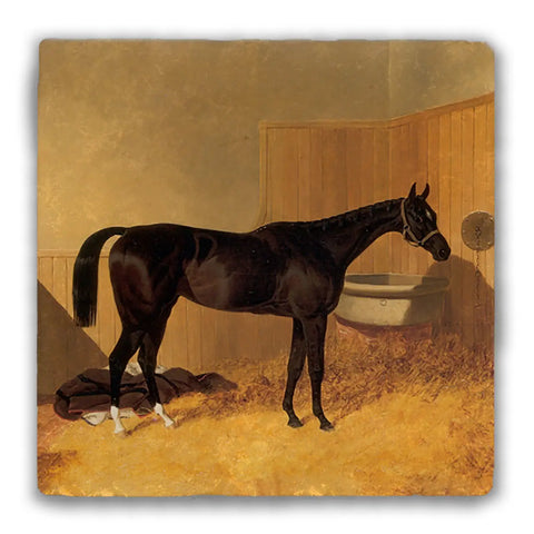 Inheritress Racehorse Tumbled Stone Coaster