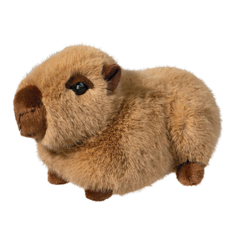 Chattie the Capybara