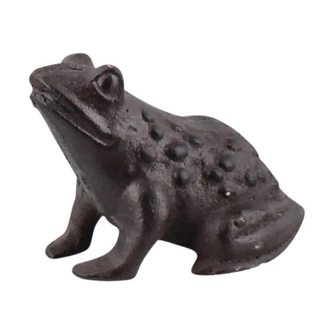 Garden Frog