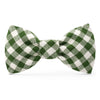 Green Gingham Bow Tie