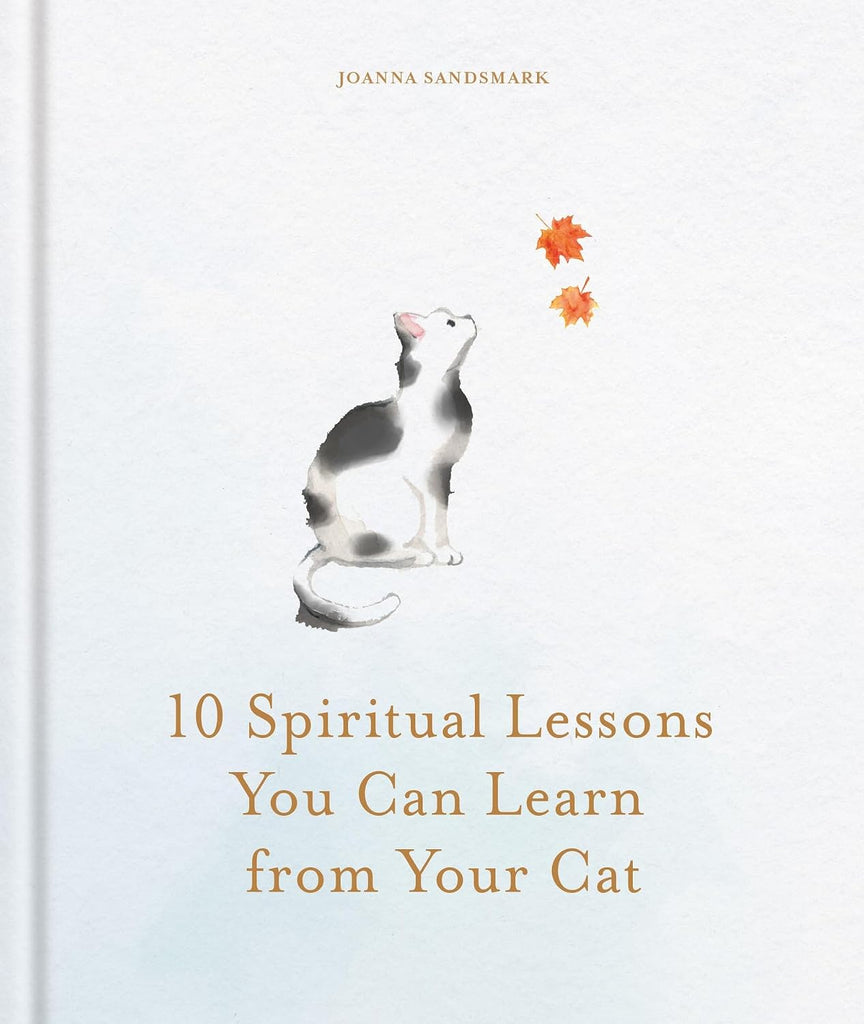 10 Spiritual Lessons from Your Cat