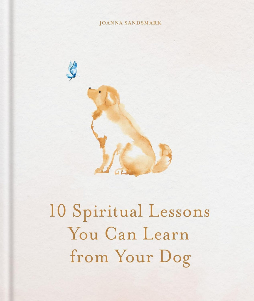 10 Spiritual Lessons from Your Dog