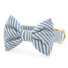 Lake Blue Striped Dog Collar