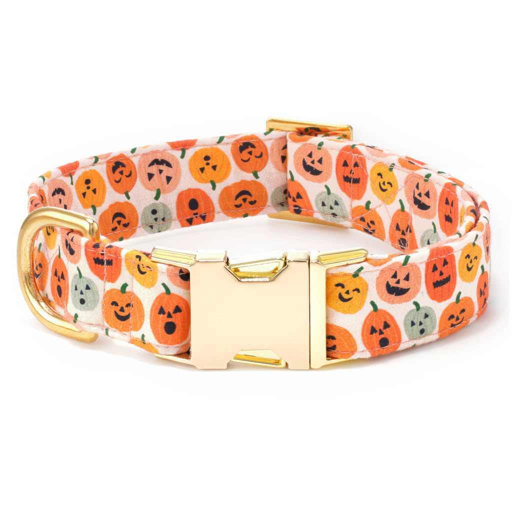 Pumpkin Dog Collar