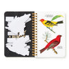 Sticker Book of Salty Birds