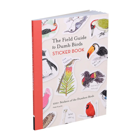 Dumb Birds Sticker Book