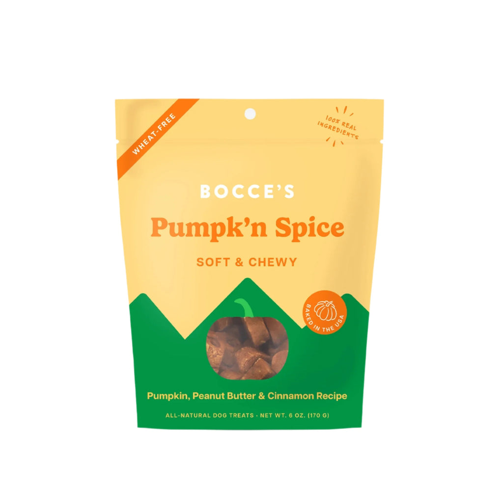 Pumpkin & Spice Dog Treats