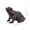 Garden Frog