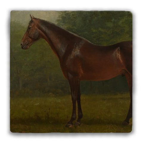 Thoroughbred Tumbled Stone Coaster