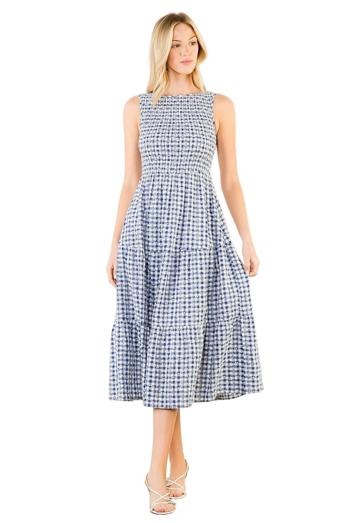 Gingham Blue Picnic Dress
