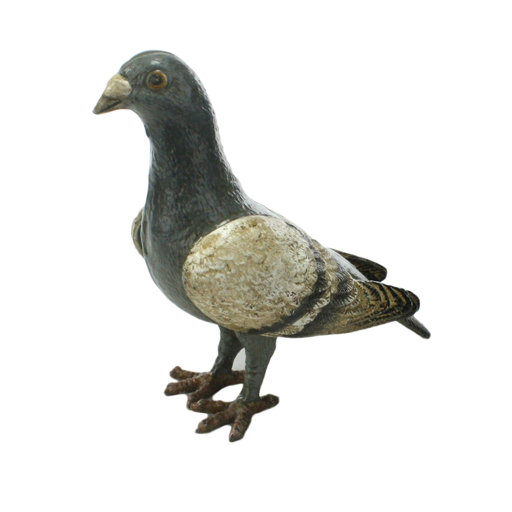 Penelope the Pigeon