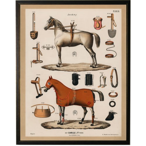 Framed Equestrian Paris Bookplate I